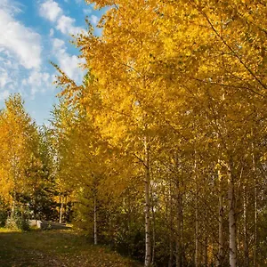 https://alpen-ville.hotels-of-almaty.com